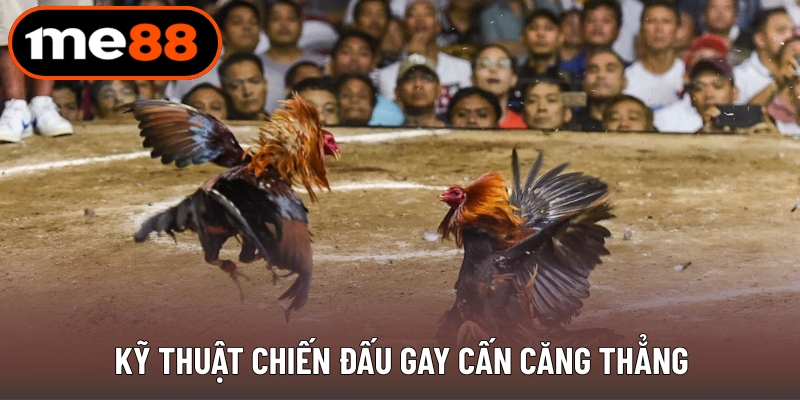 Kỹ thuật chiến đấu gay cấn căng thẳng