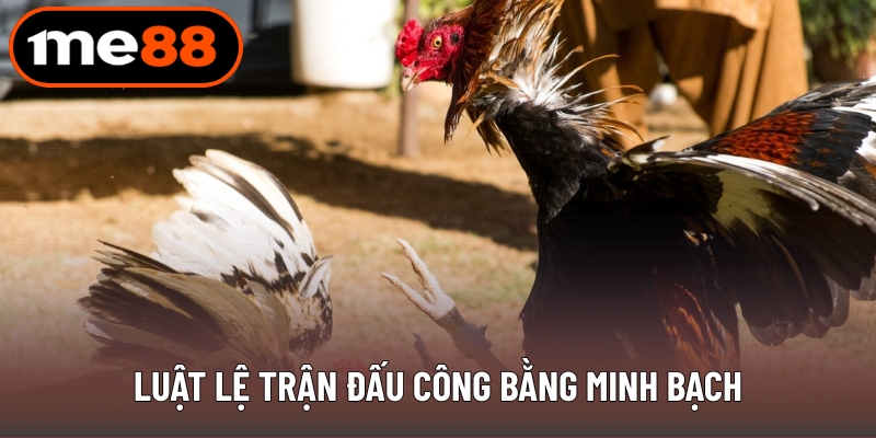 Luật lệ trận đấu công bằng minh bạch