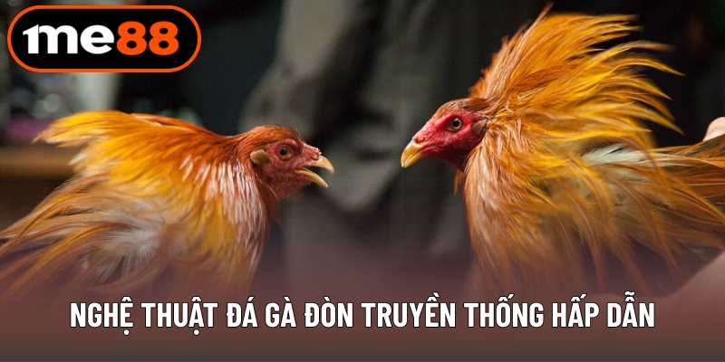 Nghệ thuật đá gà đòn truyền thống hấp dẫn