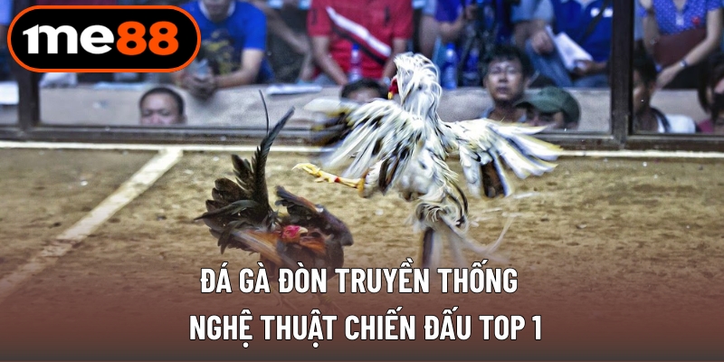Đá Gà Đòn Truyền Thống - Nghệ Thuật Chiến Đấu Top 1