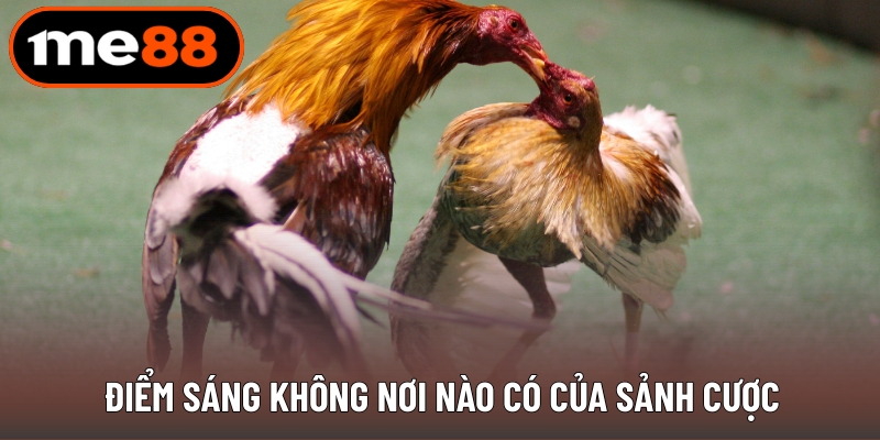 Điểm sáng không nơi nào có của sảnh cược