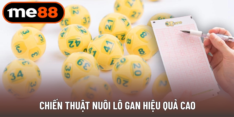 Chiến thuật nuôi lô gan hiệu quả cao