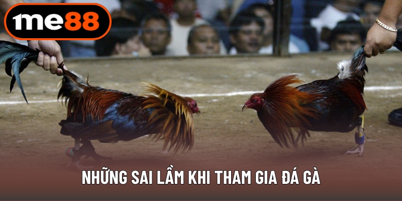 Những sai lầm khi tham gia đá gà