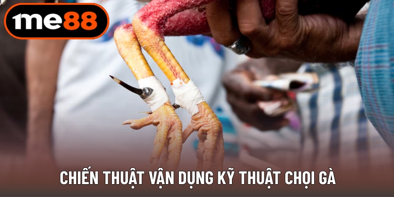 Chiến thuật vận dụng kỹ thuật chọi gà