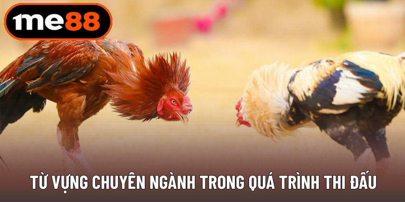 Từ vựng chuyên ngành trong quá trình thi đấu